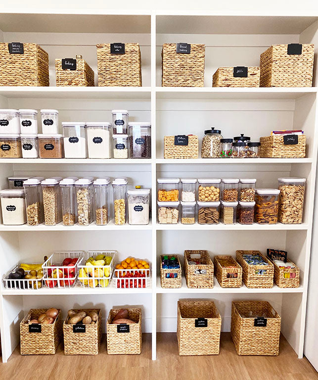 Organization