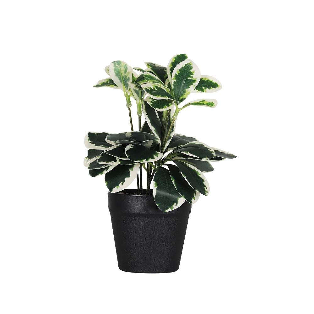 Real Touch Artificial Bonsai Tree with Eucalyptus Leaves in Cement Pot, Faux Plant for Indoor Outdoor Home Decor