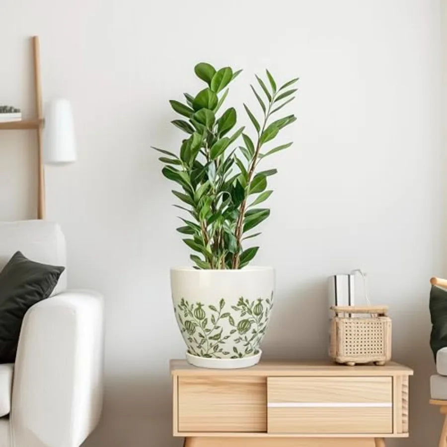 Ceramic Planter -.2 Plant Pot for Indoor Outdoor Plants Boho Round Ceramic Flower Pot with Drainage Hole and Saucer Gifts for P