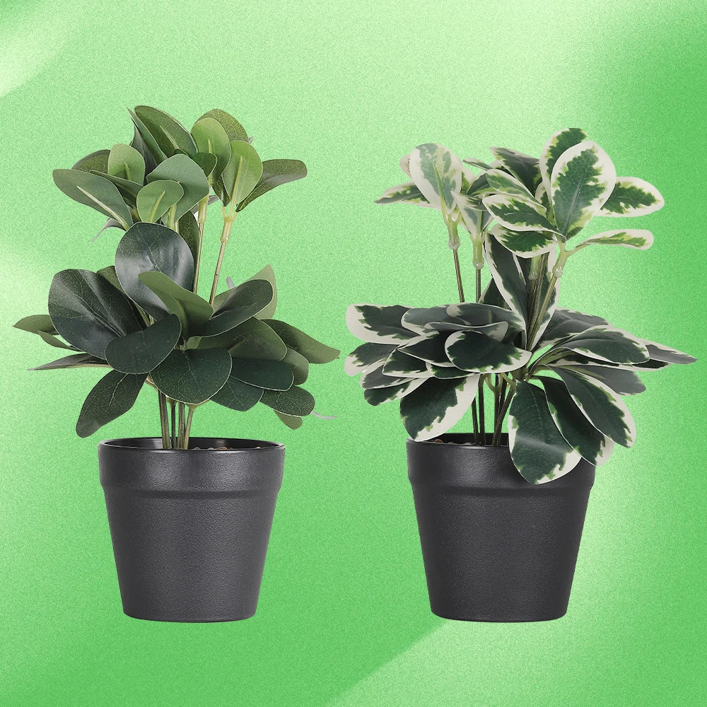 Real Touch Artificial Bonsai Tree with Eucalyptus Leaves in Cement Pot, Faux Plant for Indoor Outdoor Home Decor