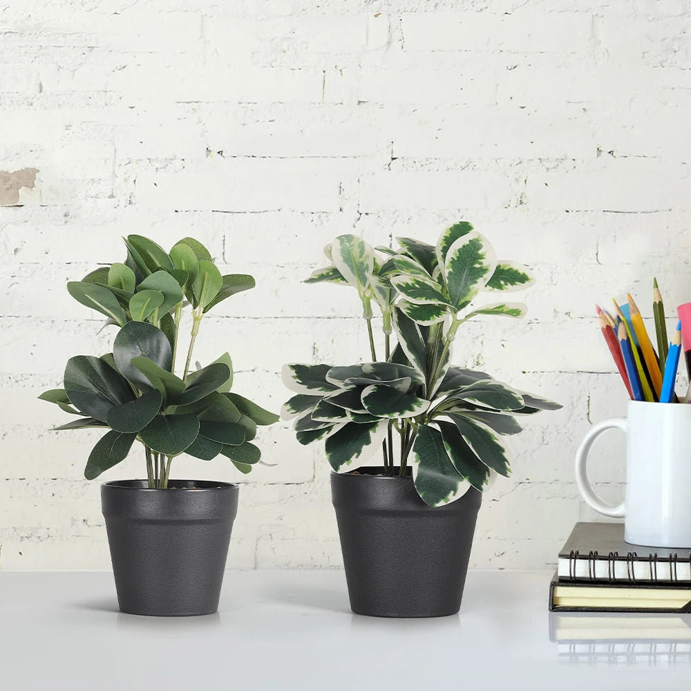Real Touch Artificial Bonsai Tree with Eucalyptus Leaves in Cement Pot, Faux Plant for Indoor Outdoor Home Decor