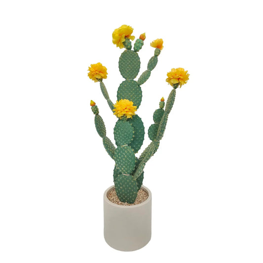Faux Cactus Plant Artificial Cactus Plant, Realistic Texture Tall Fake Plant, Faux Desert Cacti Potted Plant with Planter